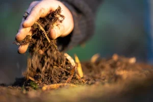 compost | hoa compost system