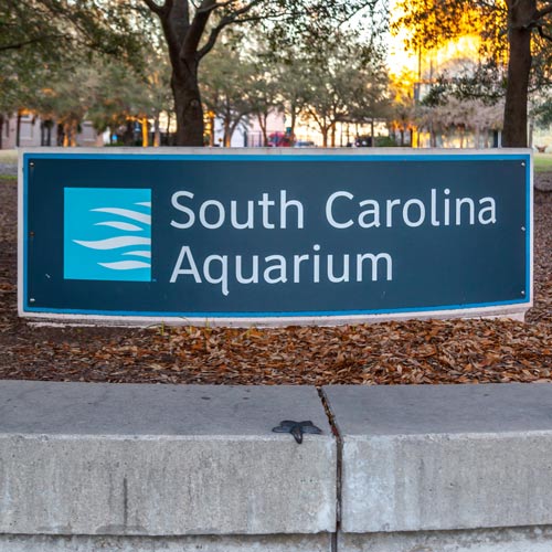 south carolina aquarium | places to visit in south carolina