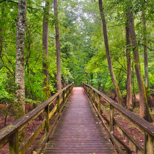 eco park | places to visit in south carolina