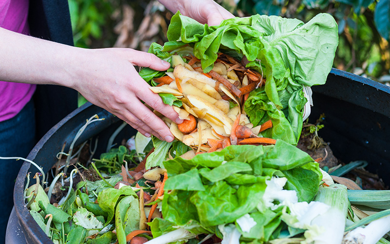 backyard composting guide