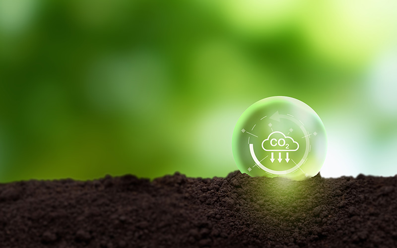 benefits of backyard composting