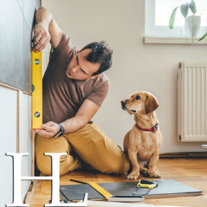 Home Improvement