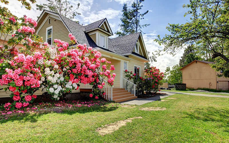 spring decorating ideas
