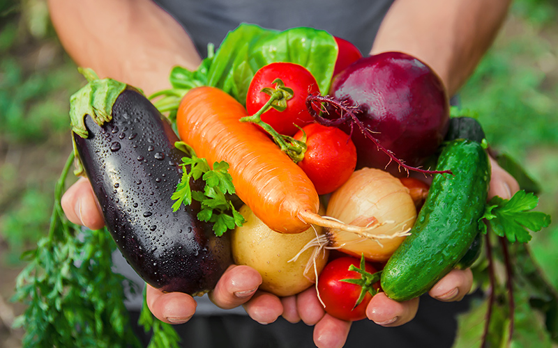 Grow a Vegetable Garden