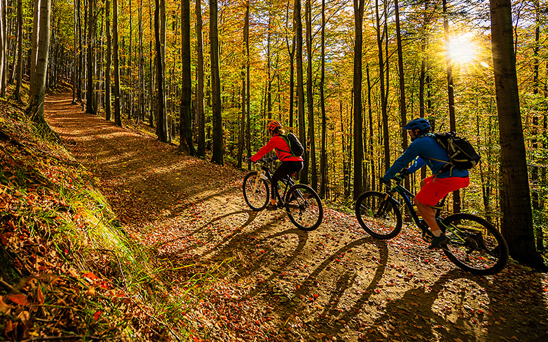 Enjoy the Outdoors