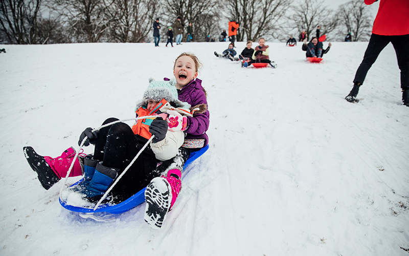 Ride a Sled at James S. Long Regional Park