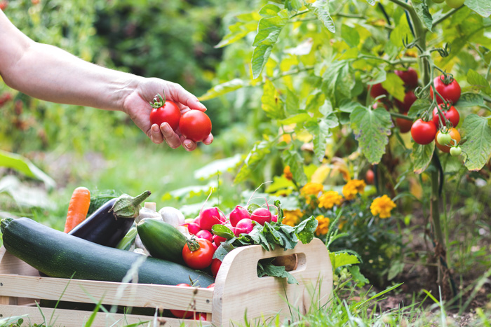 fresh vegetables | support local farmers this spring