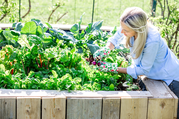 lady farmer | support local farmers this spring