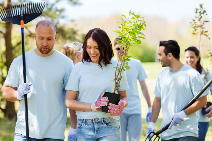 planting party | HOA spring planting