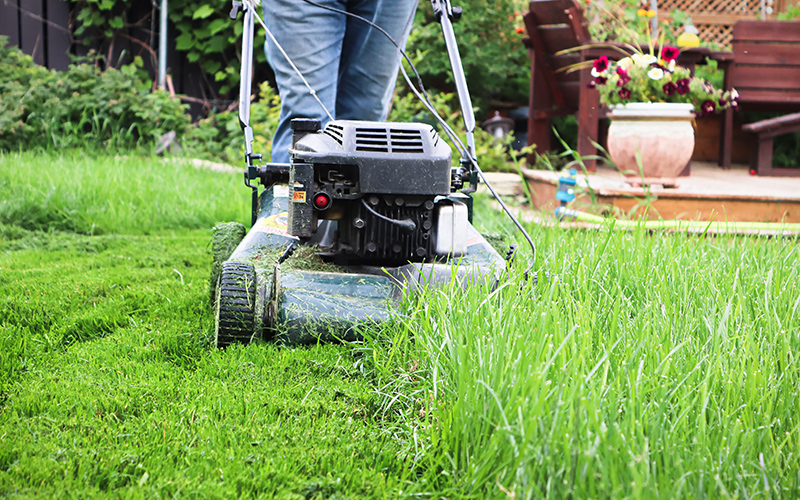 spring yard maintenance