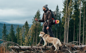spring activities for dogs
