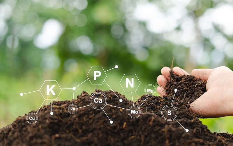 Testing fertile soil outdoors