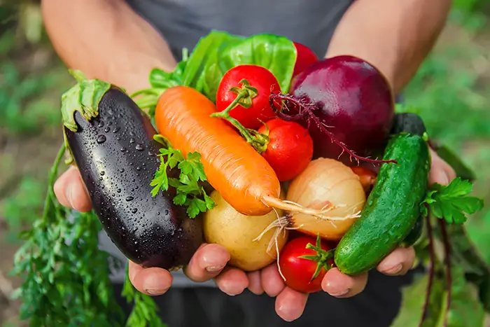 fresh vegetables | activities for the family