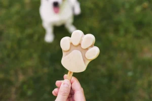 treat for dog | frozen treats for dogs homemade