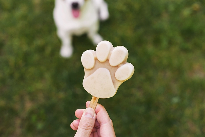 treat for dog | frozen treats for dogs homemade
